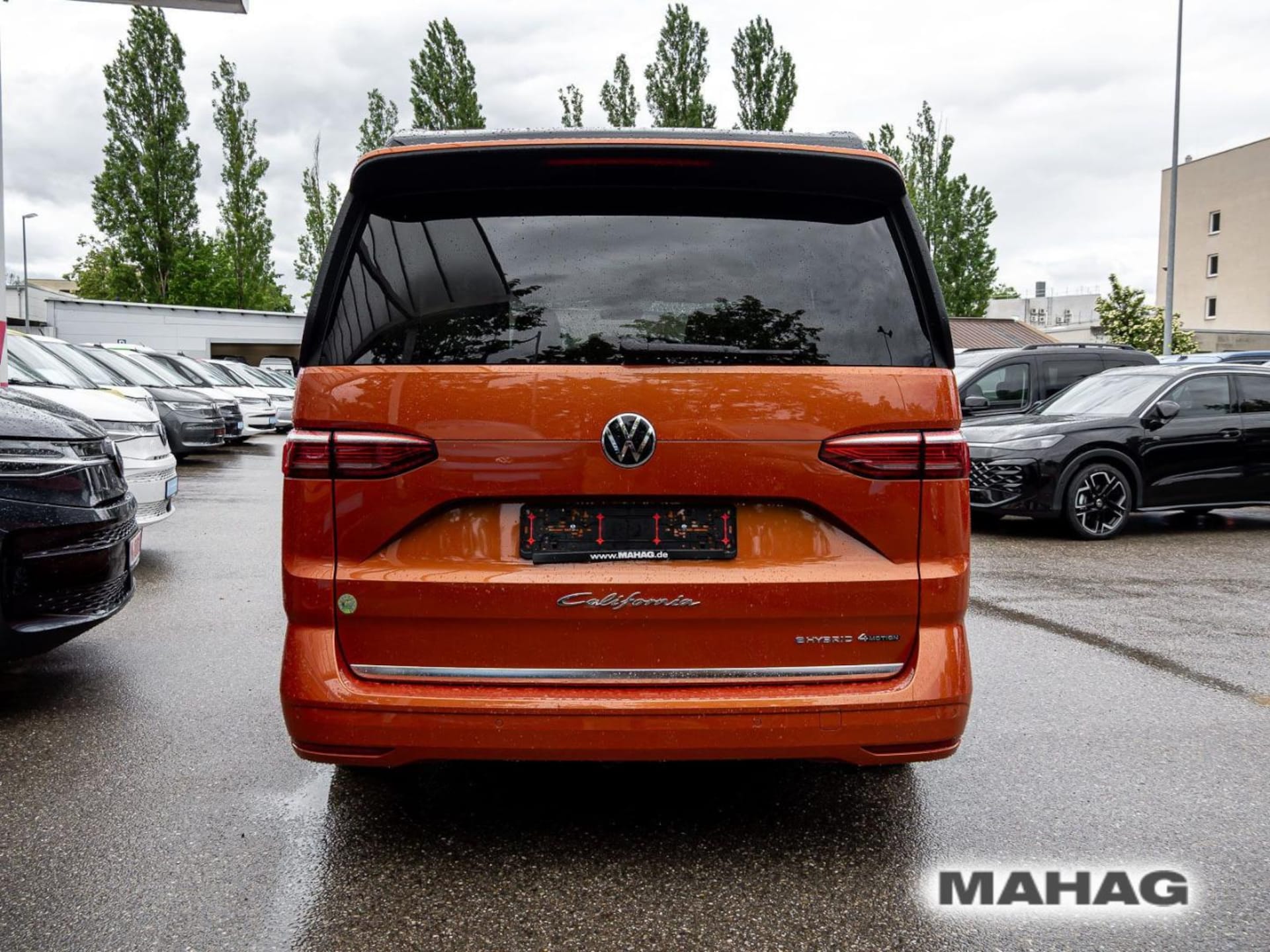 Volkswagen California Ocean