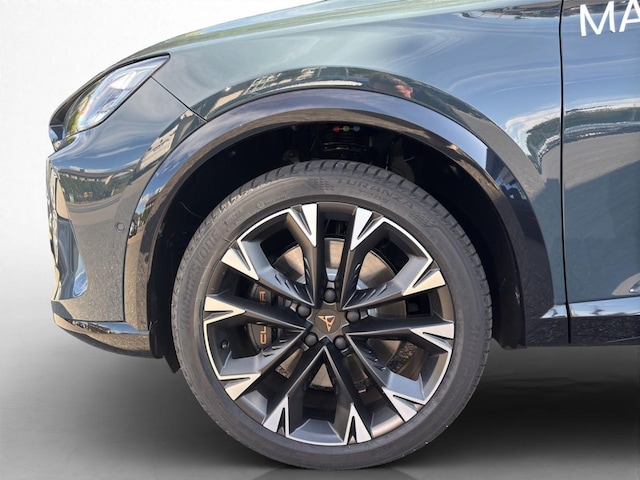 Bild des Autos 13