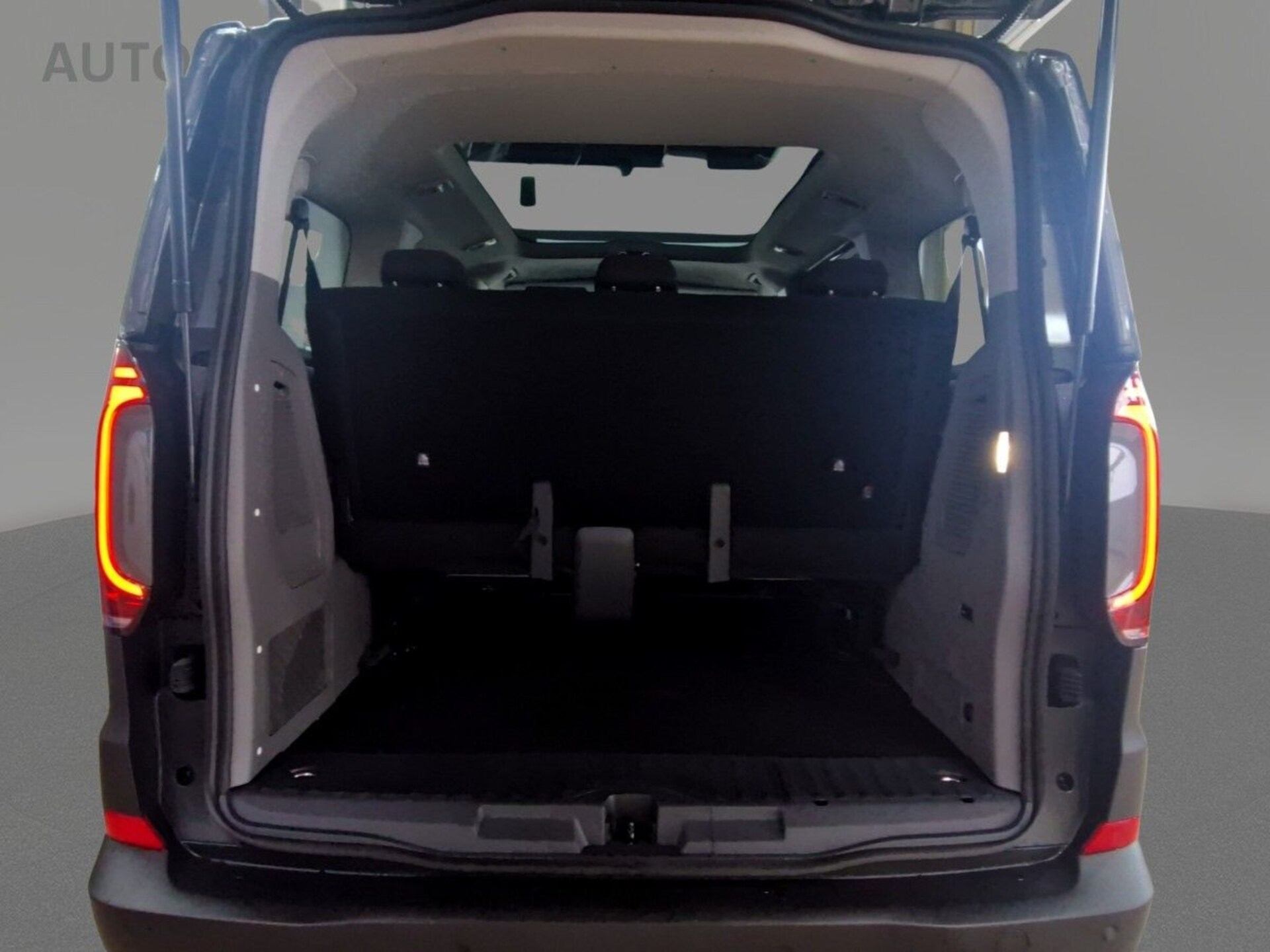 Volkswagen Caravelle PanAmericana