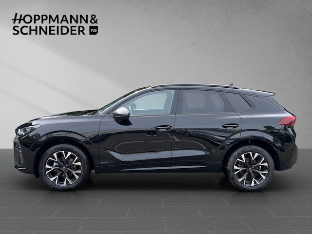 Bild des Autos 2