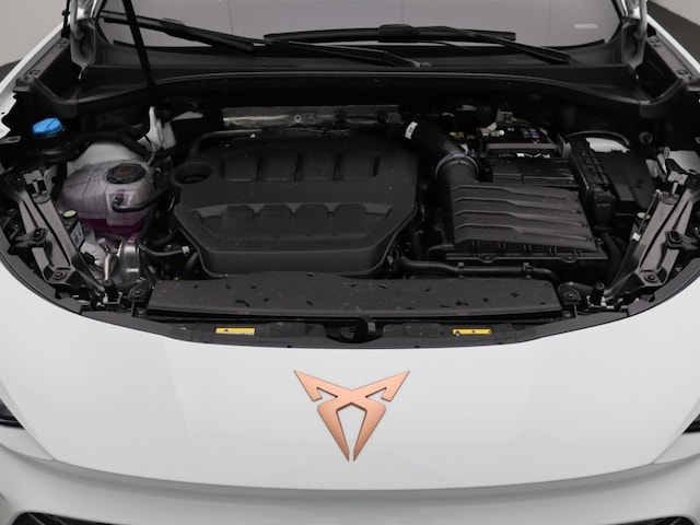 Bild des Autos 16