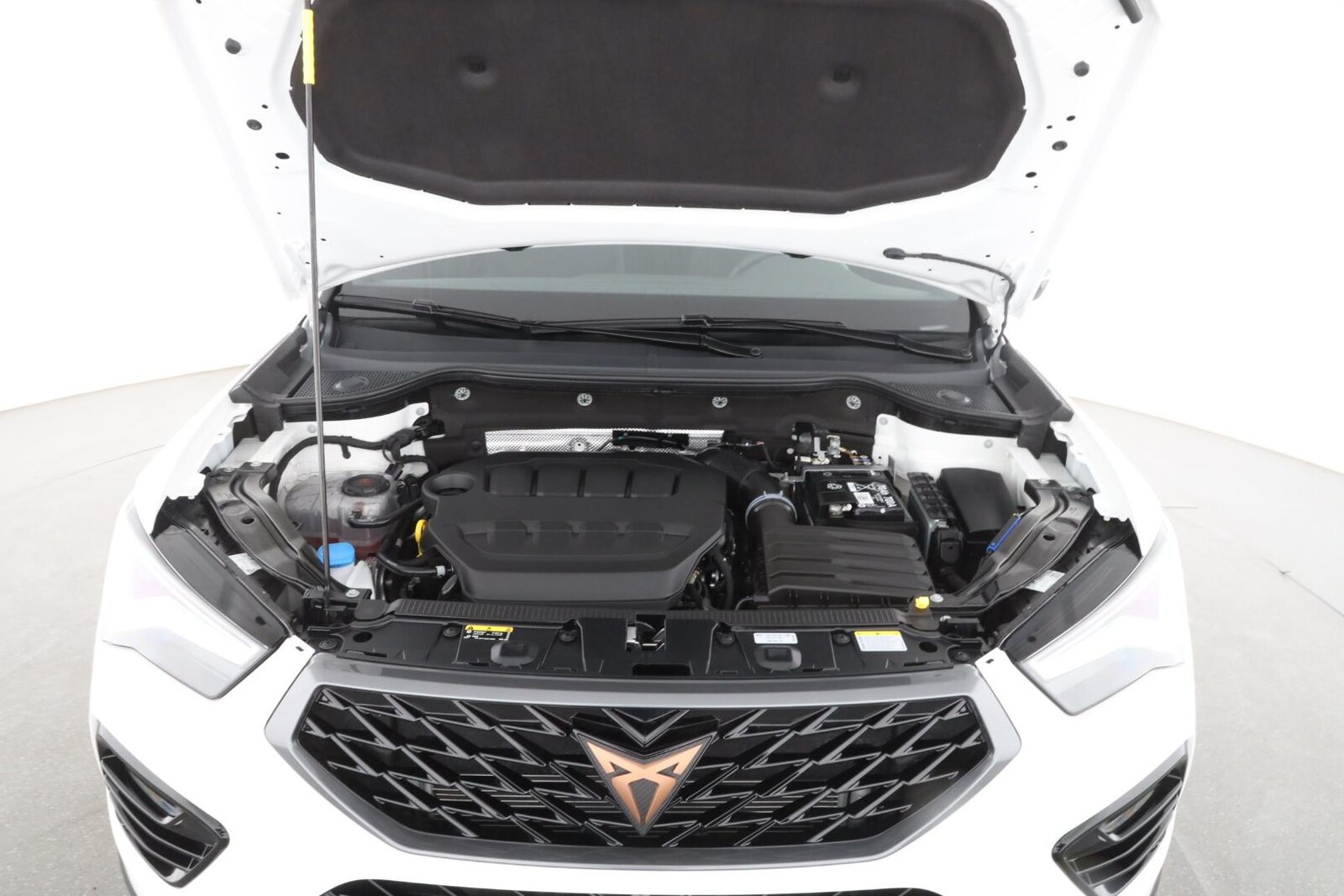 CUPRA Ateca – Bild 9