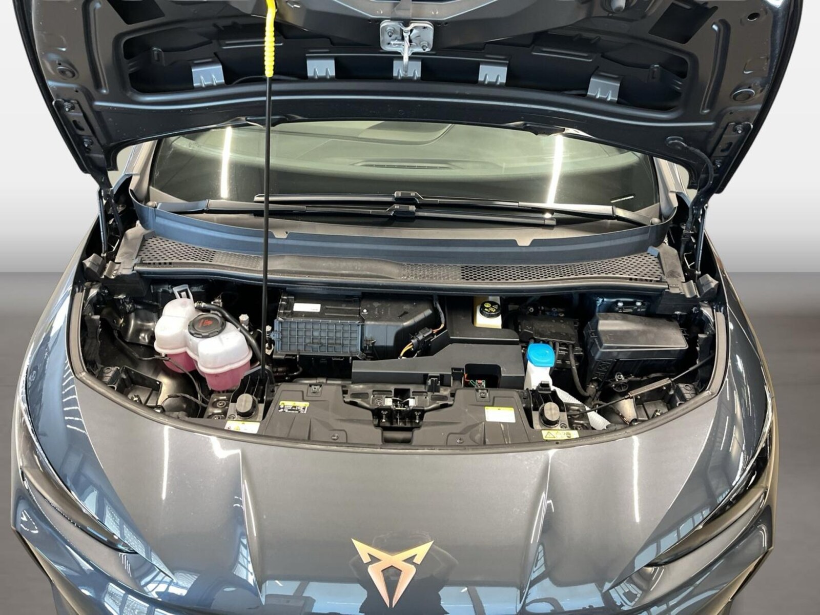 CUPRA Born – Bild 14