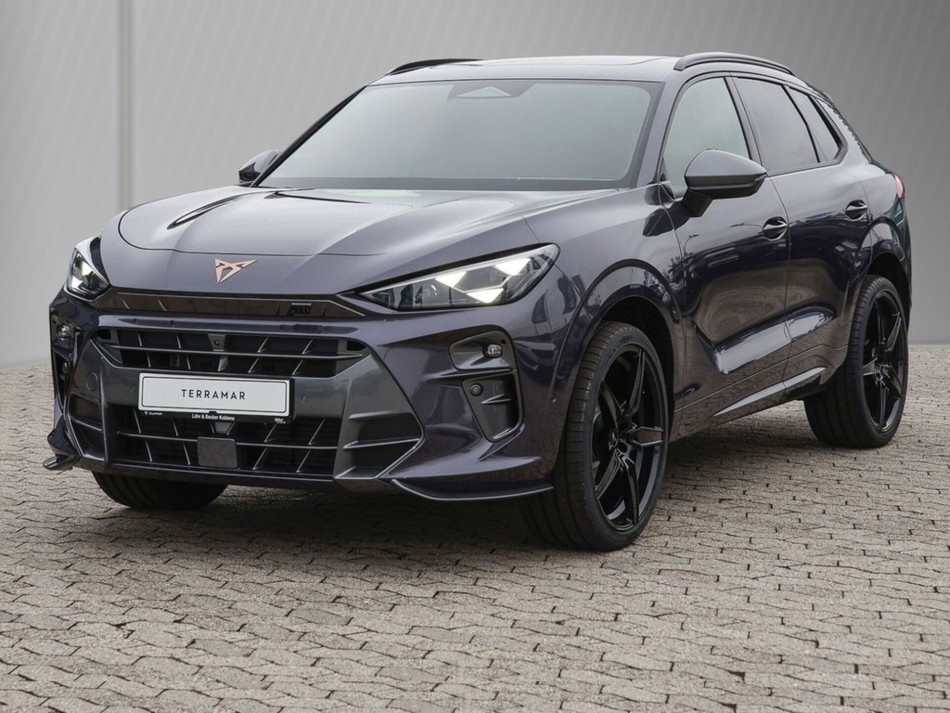 CUPRA Terramar VZ
