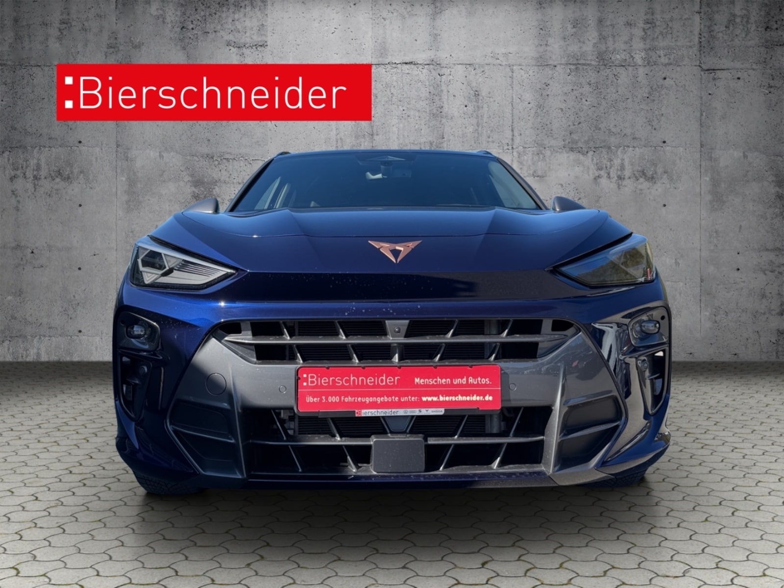 CUPRA Terramar – Bild 2
