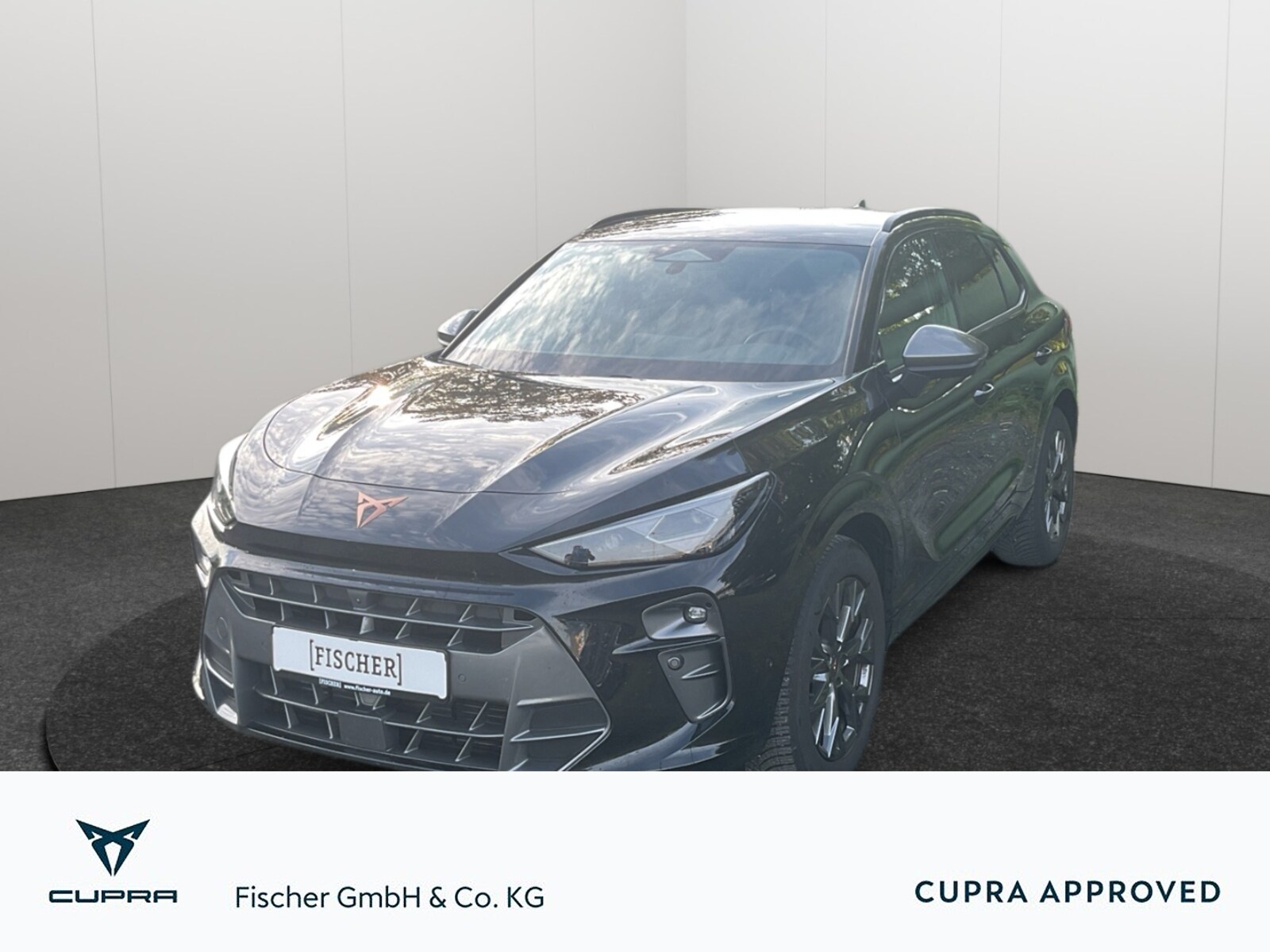 CUPRA Terramar