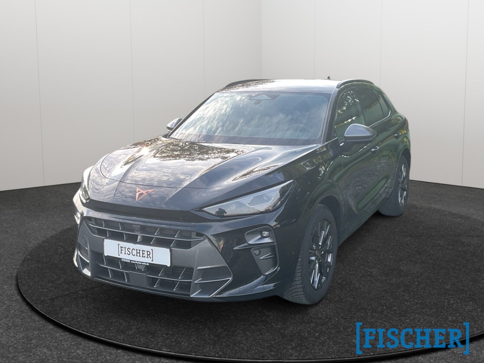 CUPRA Terramar – Bild 5
