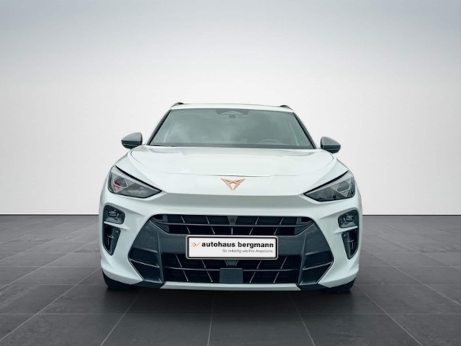 CUPRA Terramar – Bild 2