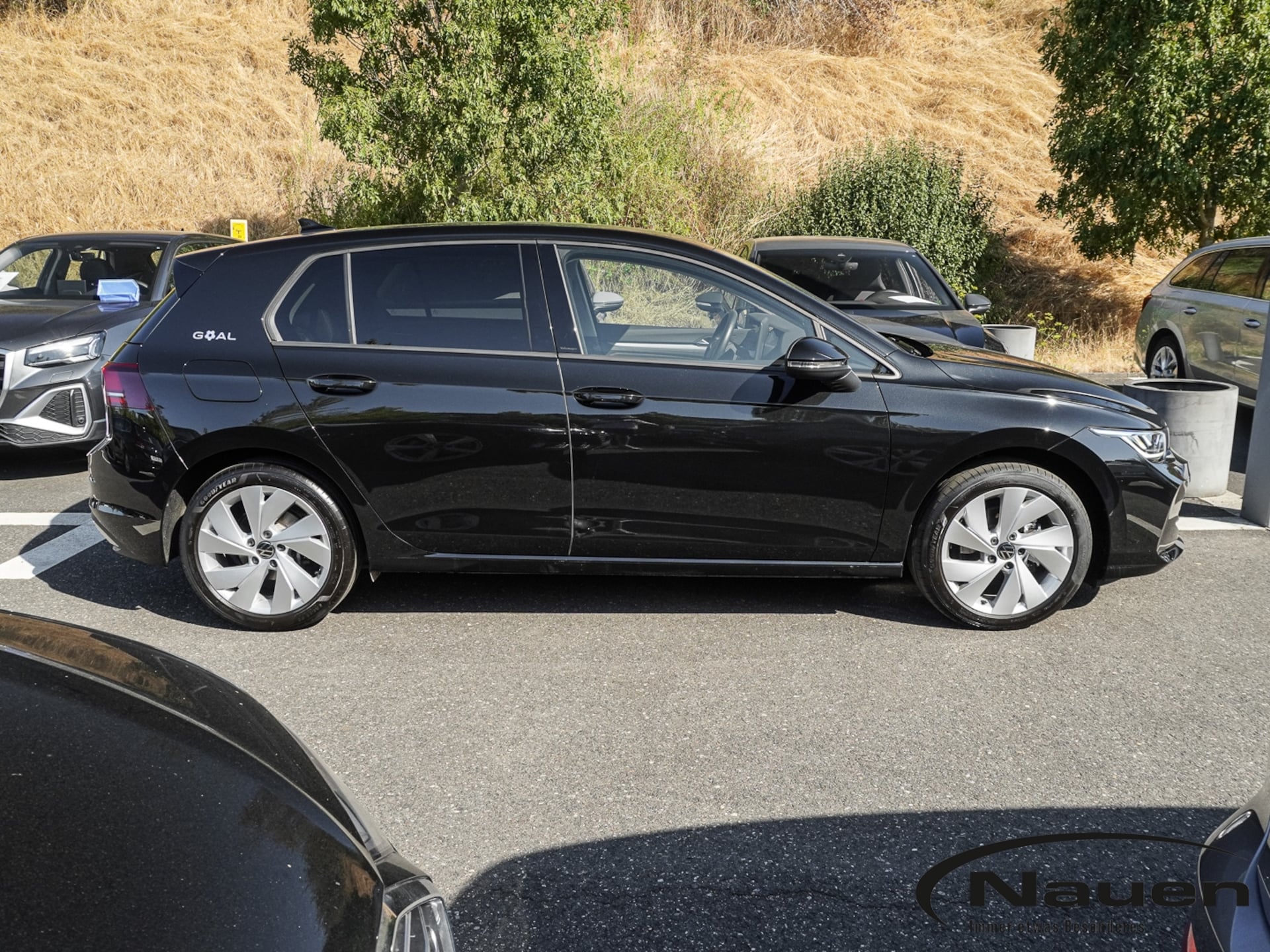 Volkswagen Golf Goal