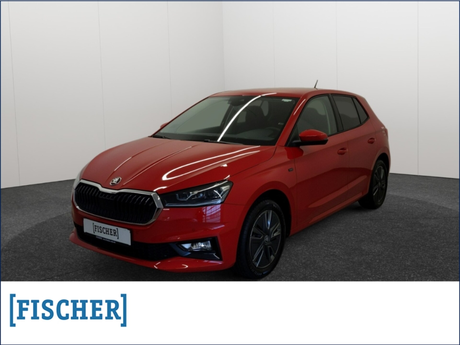 Skoda Fabia Tour