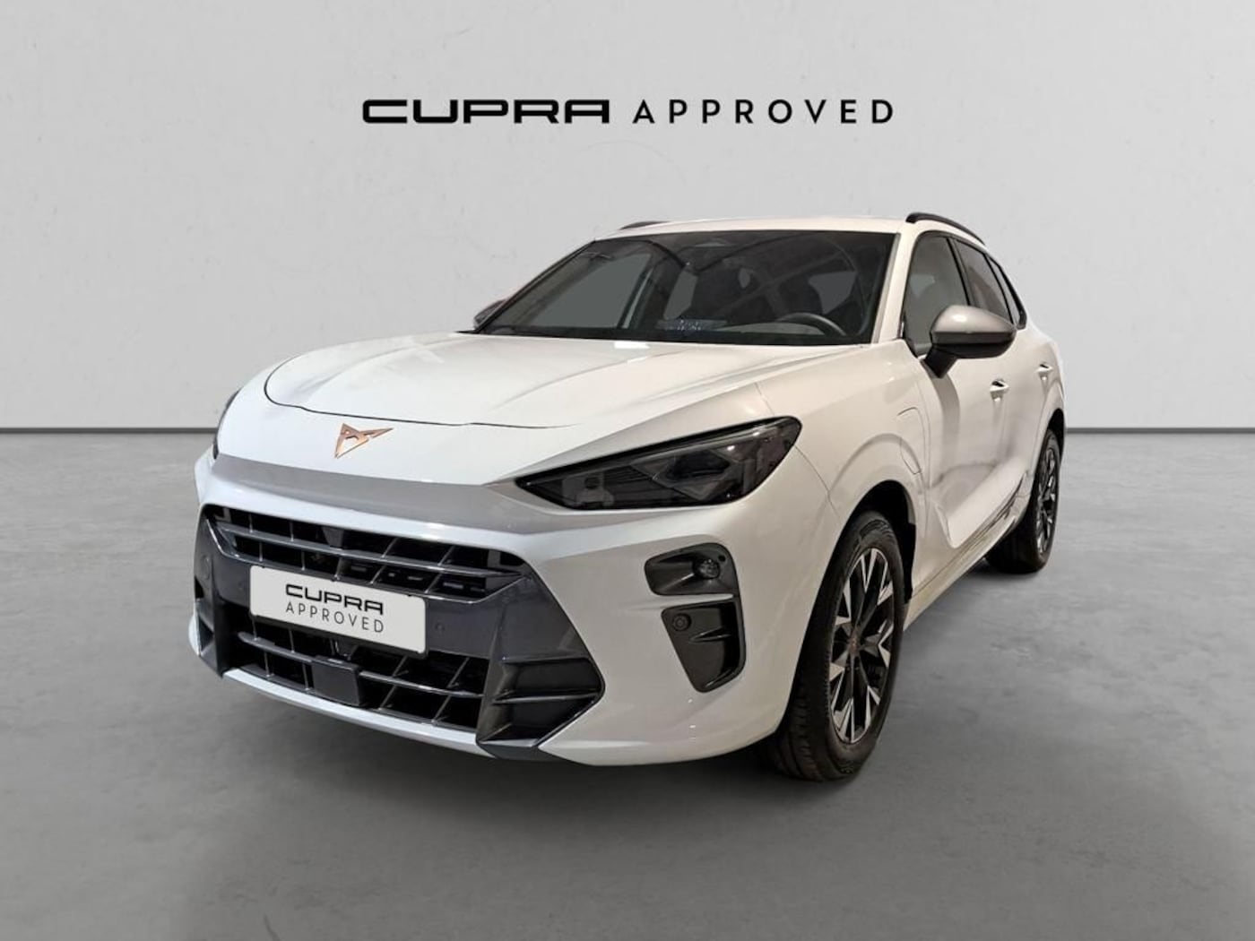 CUPRA Terramar 1.5 TSI e-Hybrid DSG 150 kW (204 CV) — photo 13