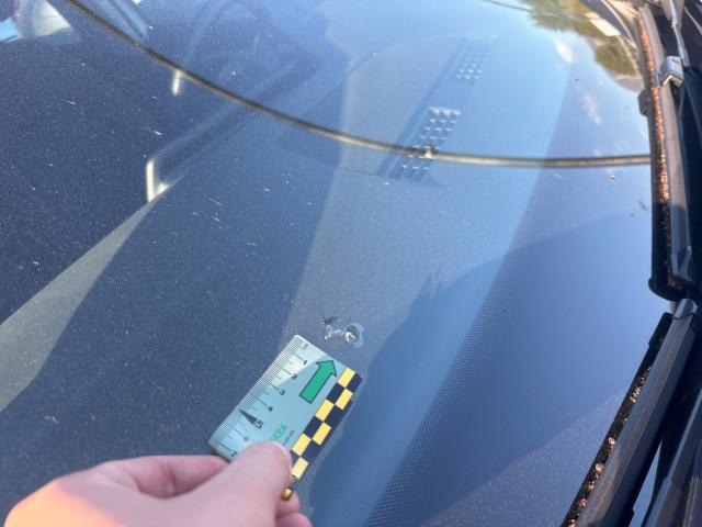 Bild des Autos 12