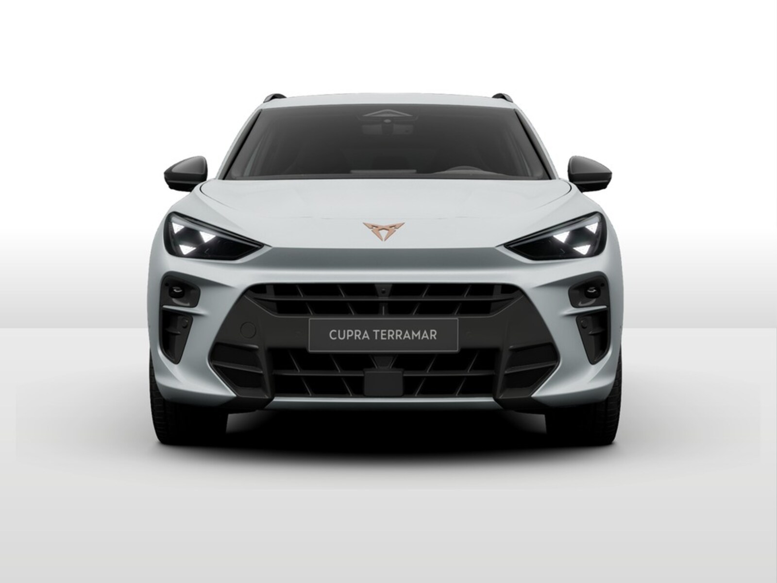 CUPRA Terramar – Bild 2