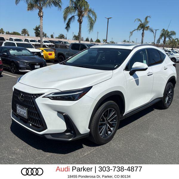 2024 Lexus NX 350 350 AWD's photo