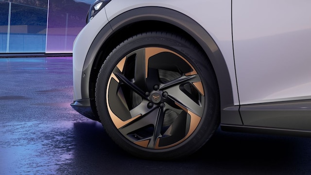 Bild des Autos 8