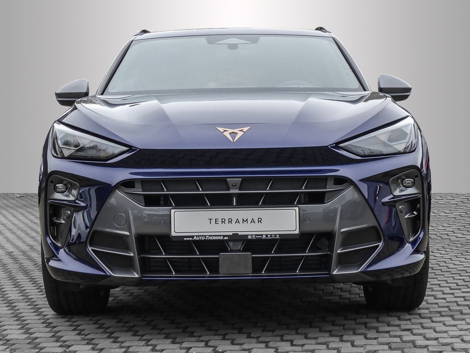 CUPRA Terramar