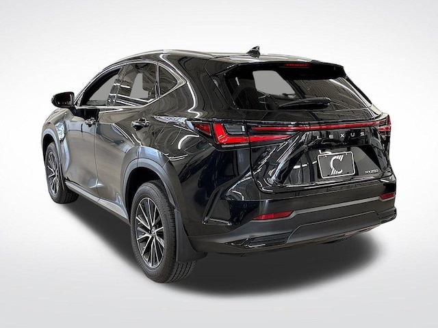 2023 Lexus NX 250