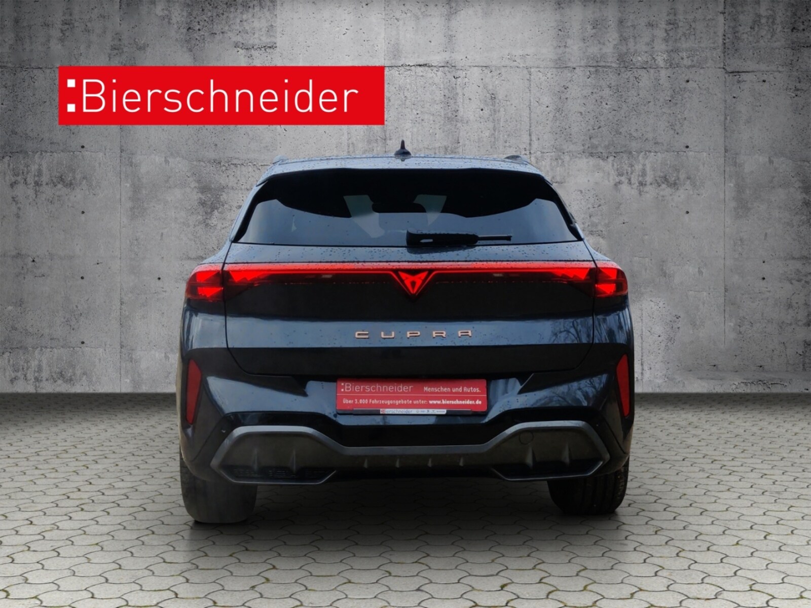 CUPRA Terramar – Bild 9