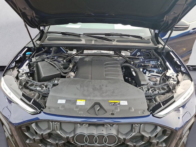 Bild des Autos 11