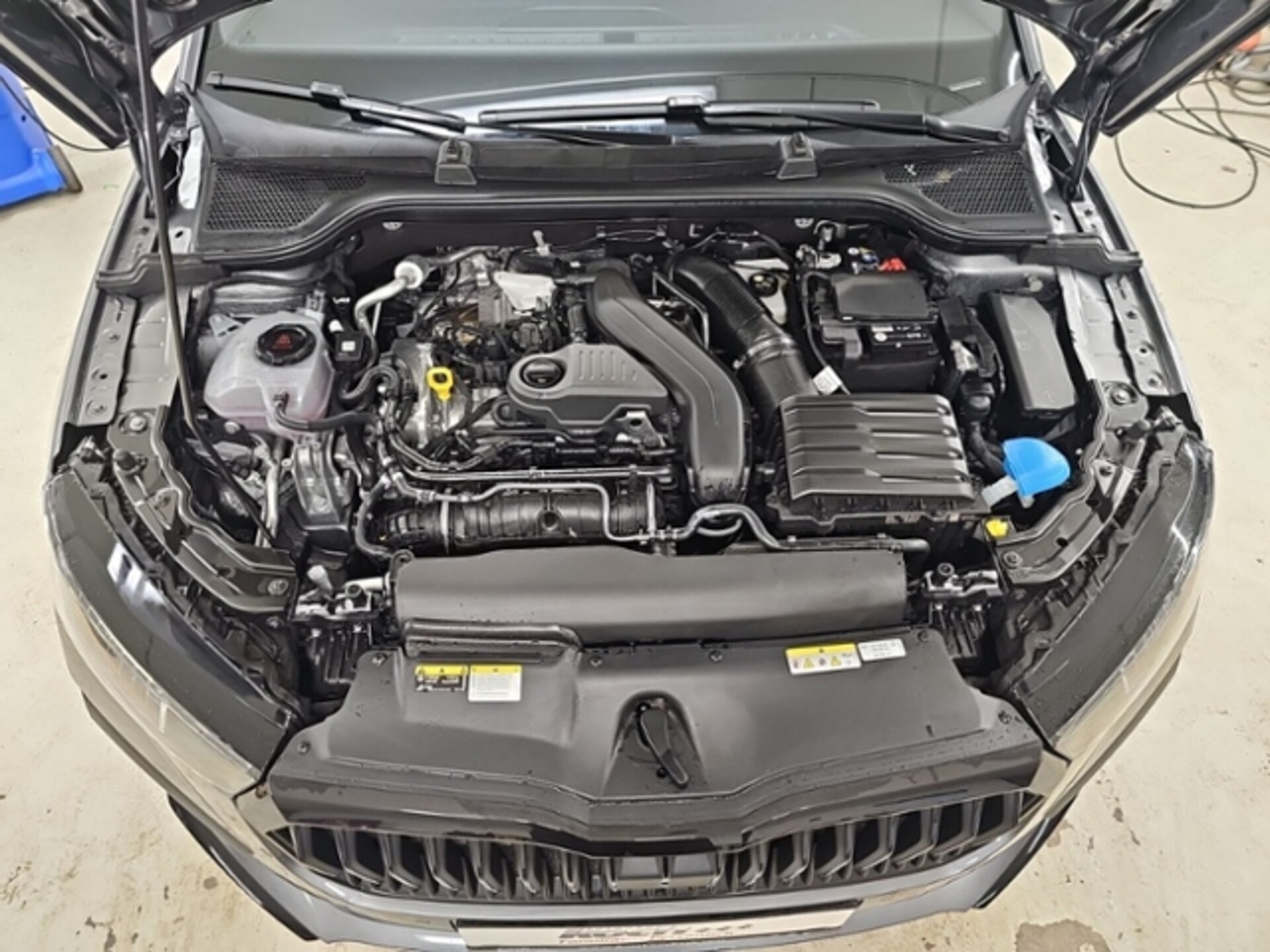 Skoda Scala Monte Carlo