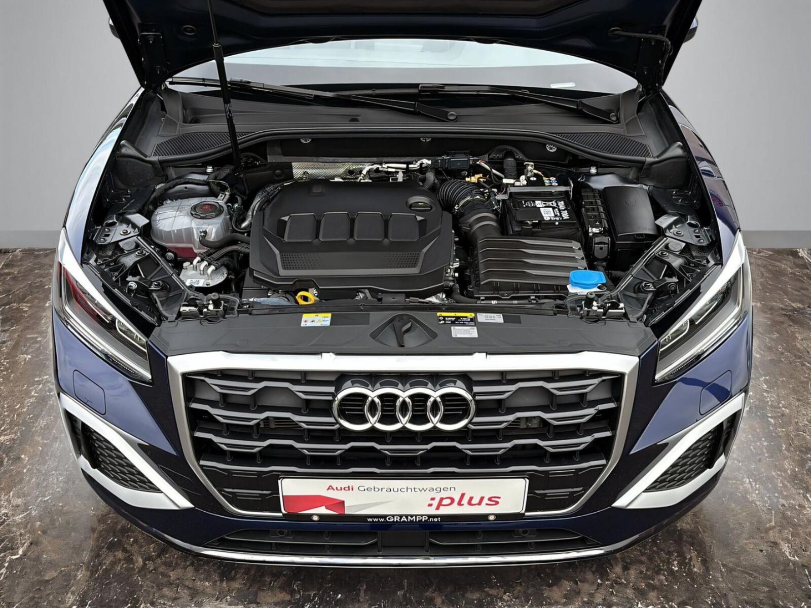 Audi Q2 – Bild 15