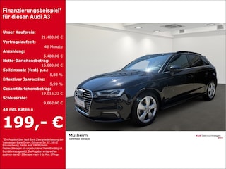 erstes Vorschaubild