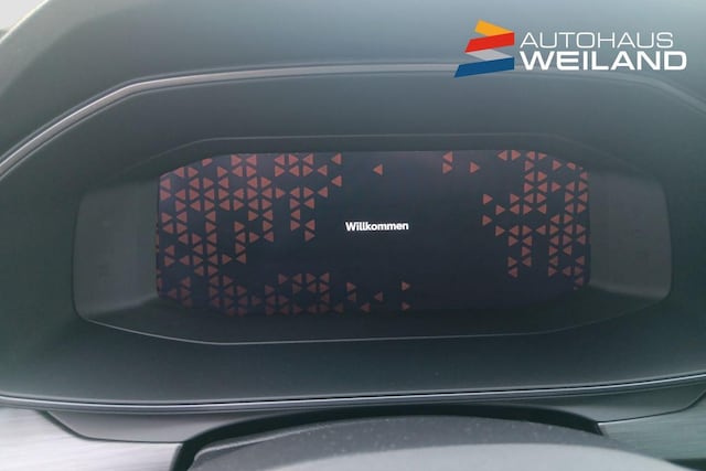 Bild des Autos 8