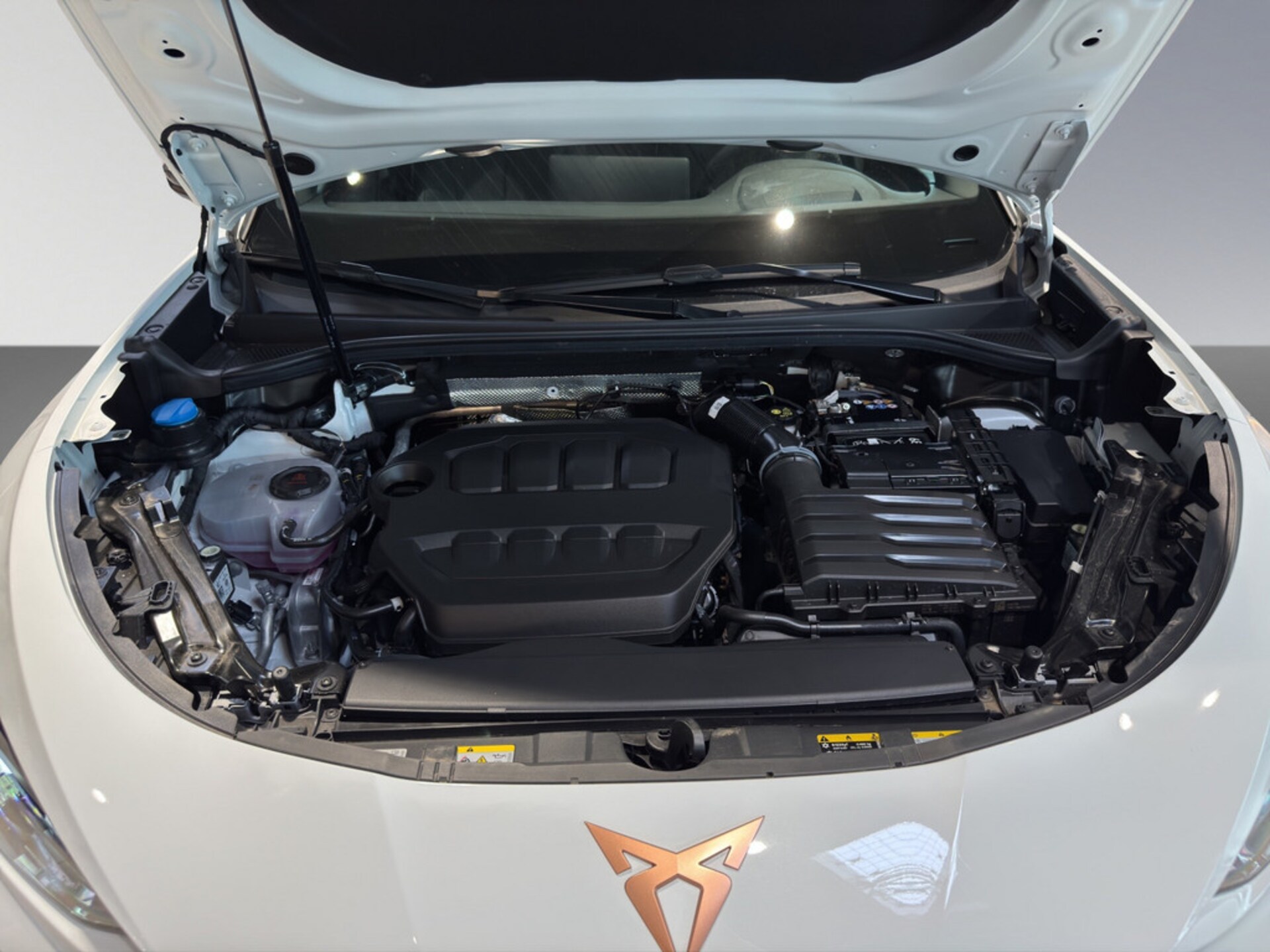 CUPRA Terramar