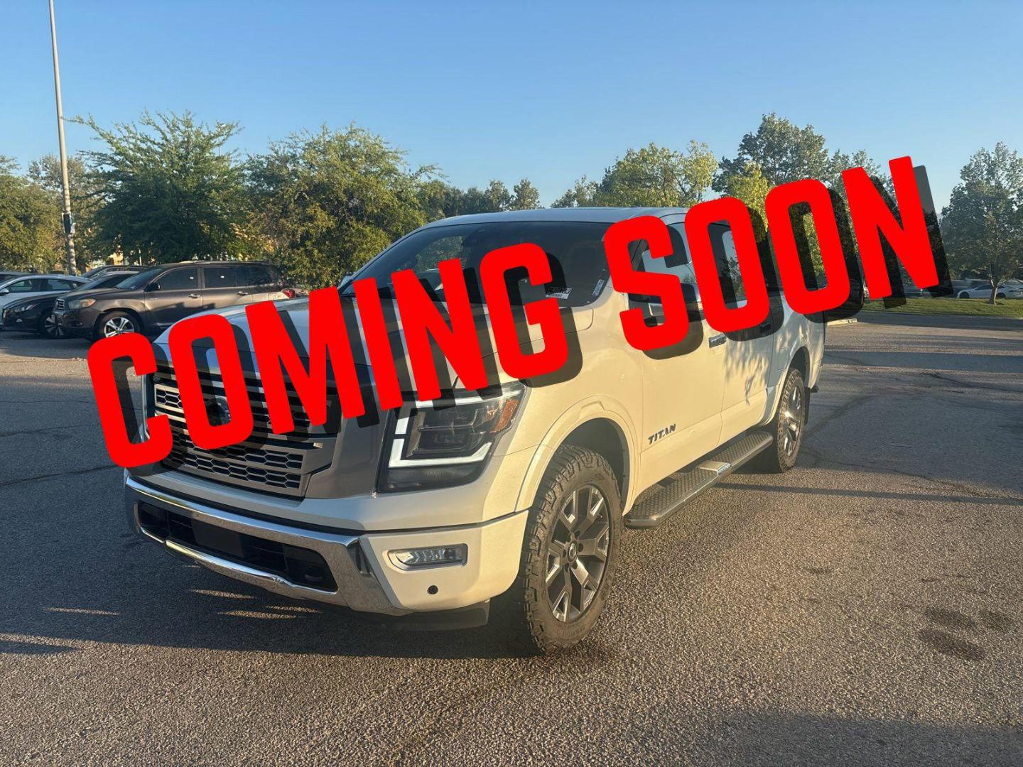 2022 Nissan Titan Platinum Reserve 4X4 Crew Cab's photo