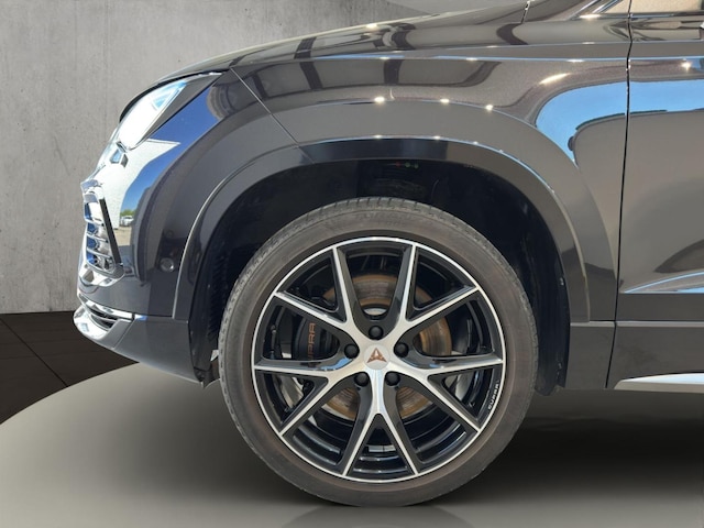 Bild des Autos 20