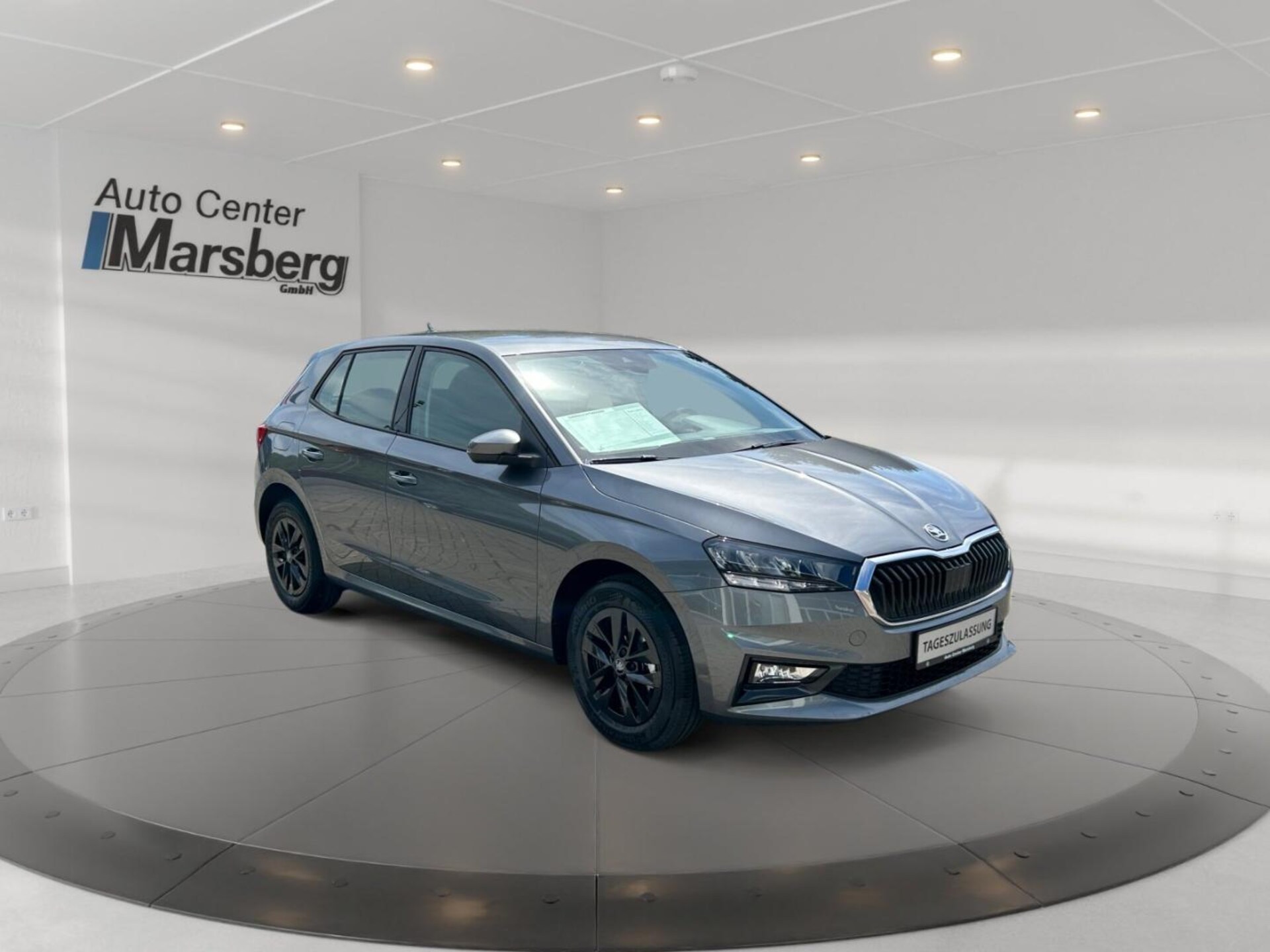 Skoda Fabia Selection