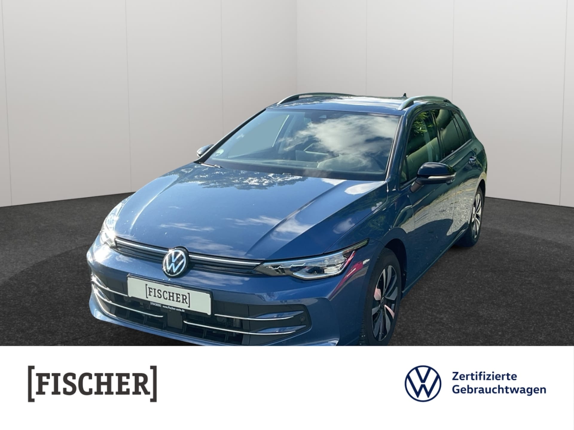Volkswagen Golf Variant Goal