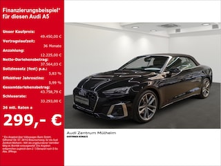 erstes Vorschaubild