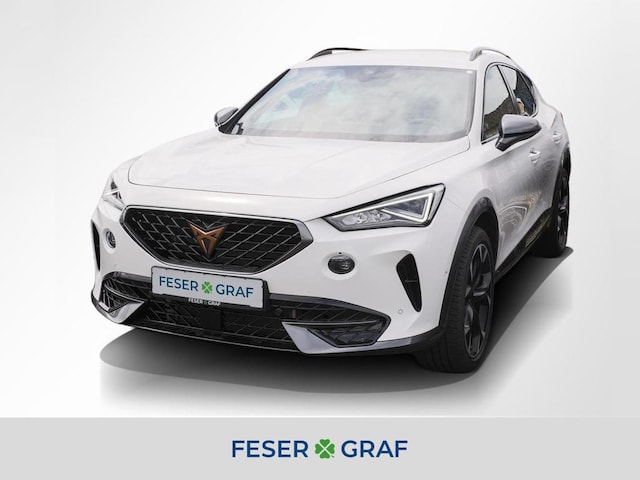 CUPRA Formentor VZ 2.0 TSI DSG Navi Kamera LED SiHz (DKT5015630)