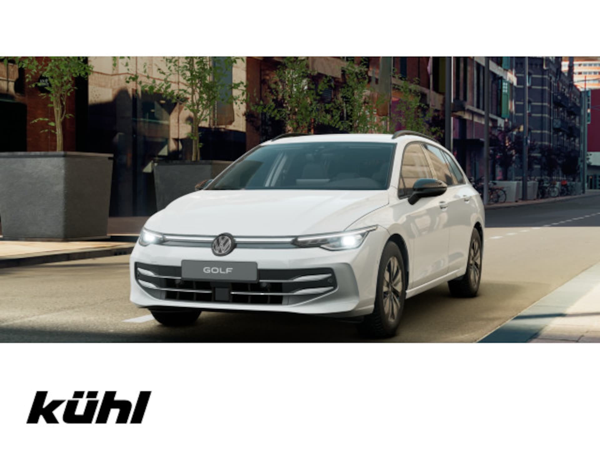 Volkswagen Golf Variant Goal