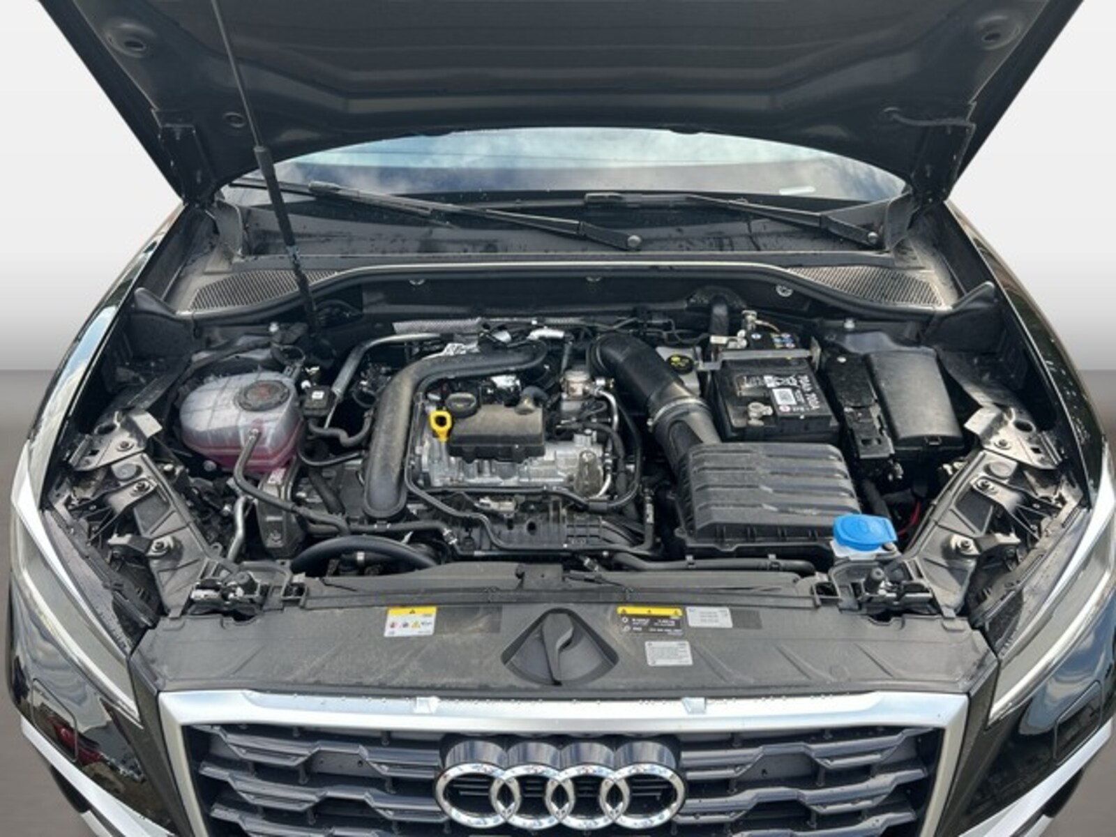 Audi Q2 – Bild 15