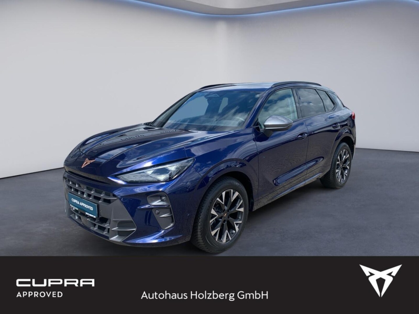 CUPRA Terramar – Bild 2