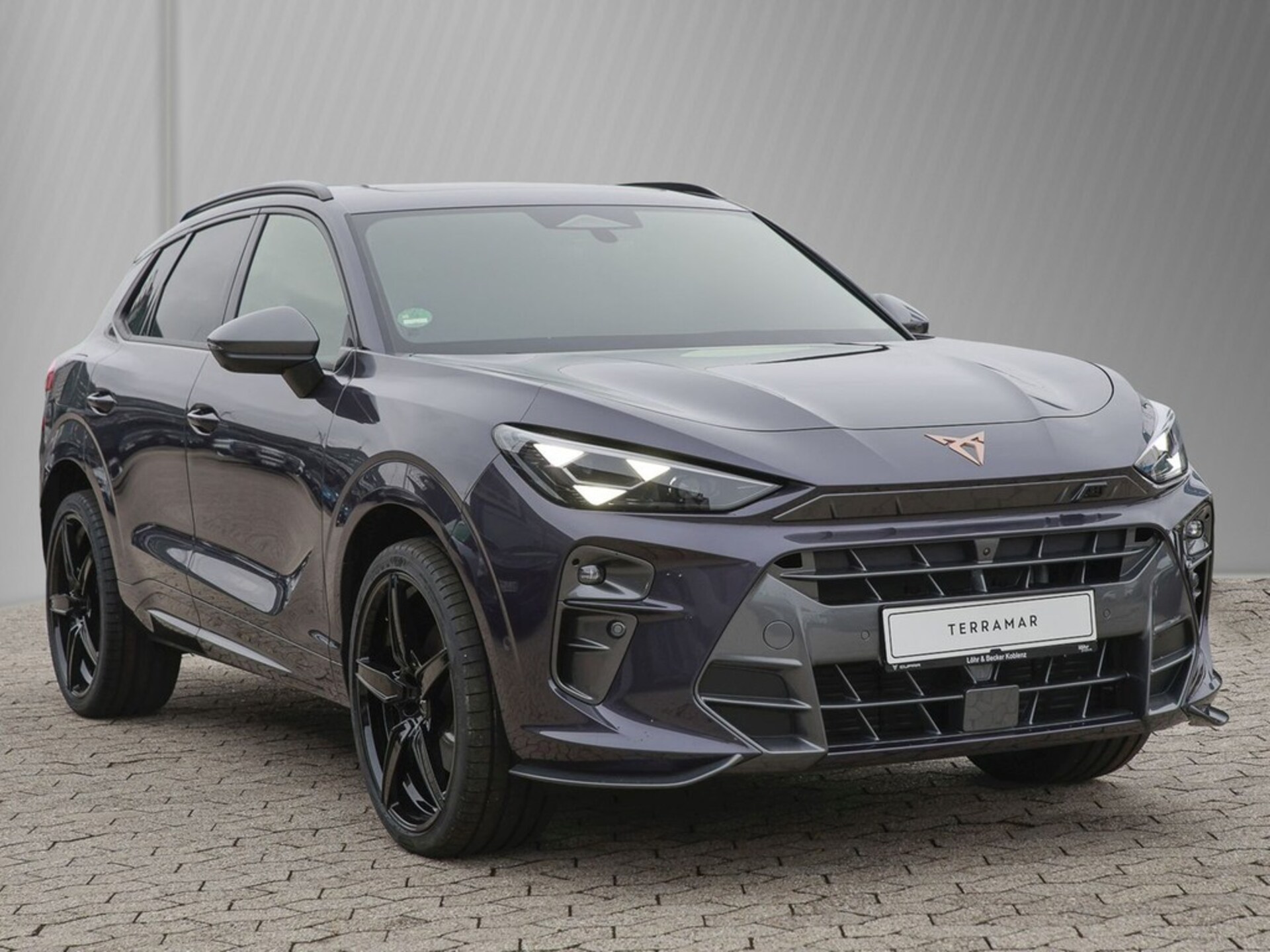CUPRA Terramar VZ