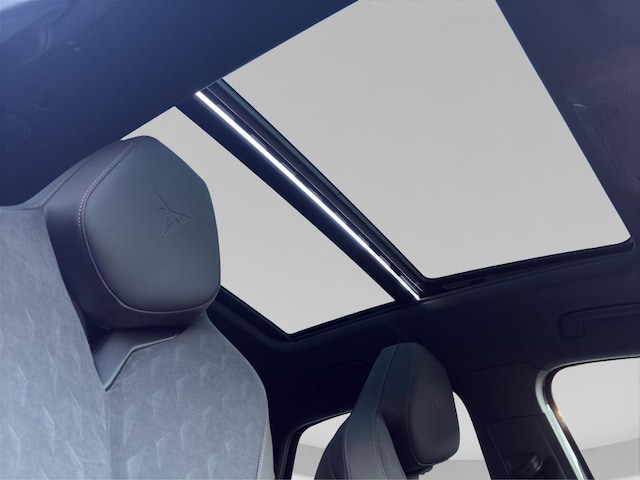 Bild des Autos 19