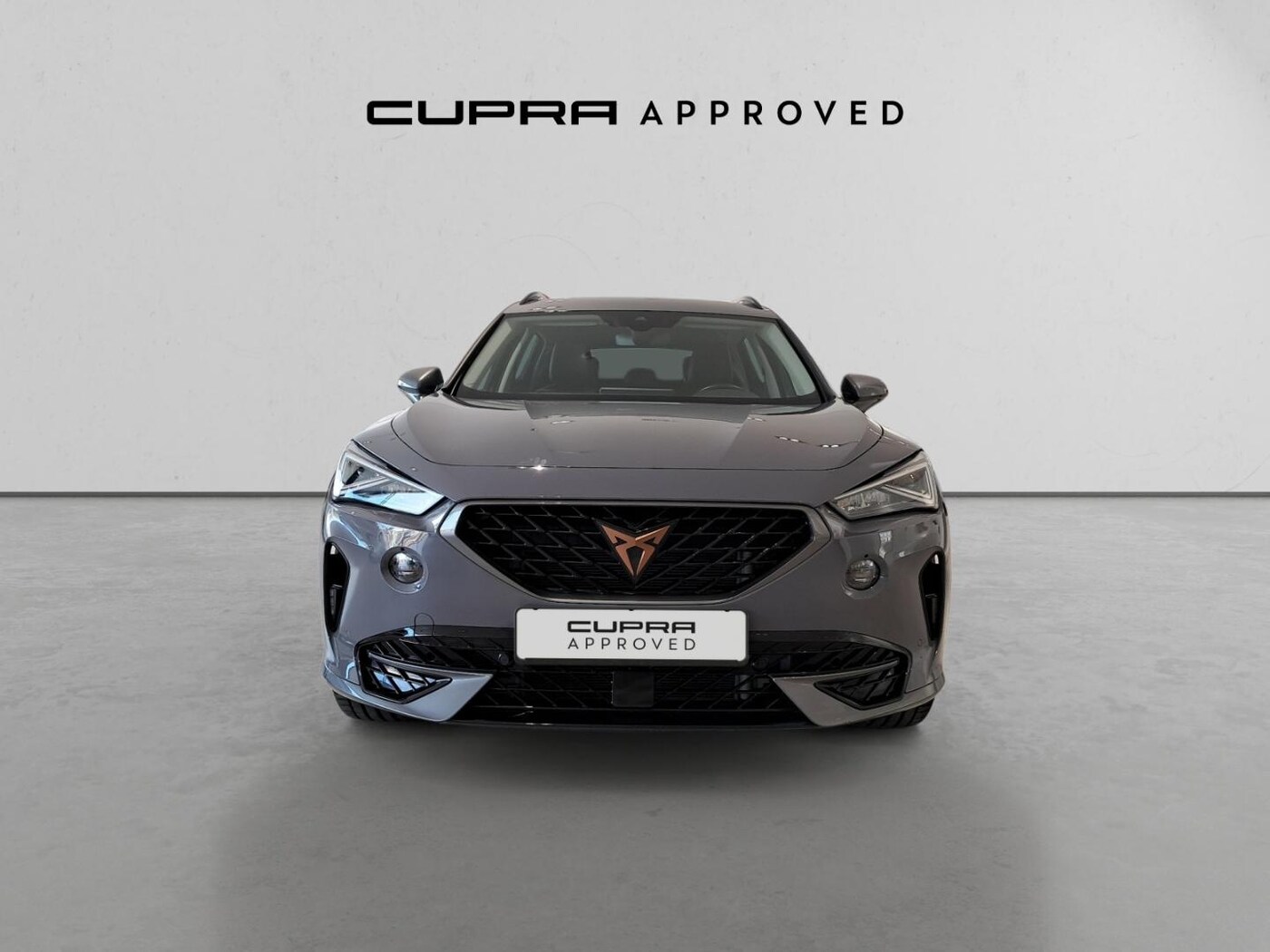 CUPRA Formentor 1.5 eTSI DSG 110 kW (150 CV) — photo 12