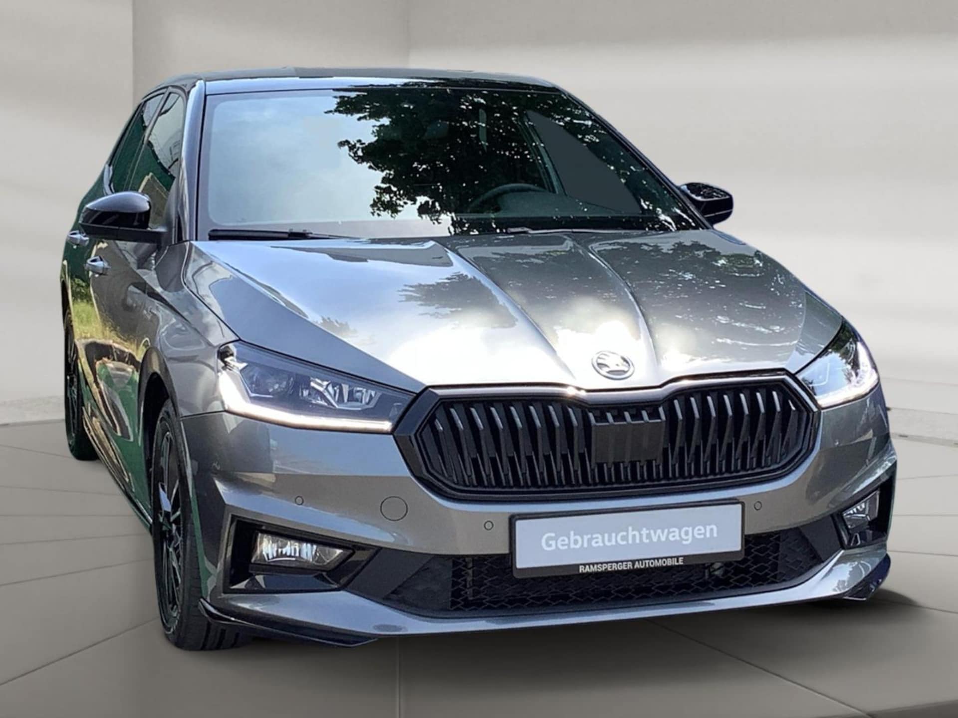 Skoda Fabia Monte Carlo