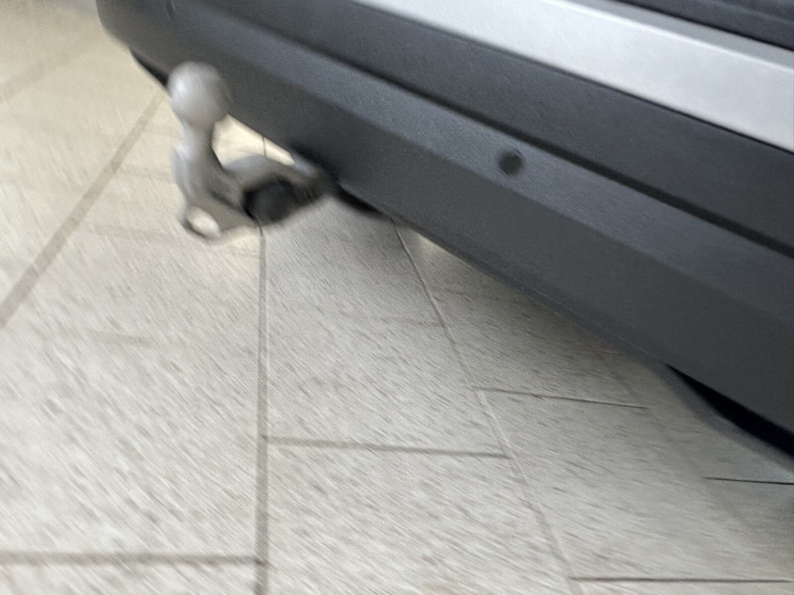 Škoda Kodiaq – Bild 11