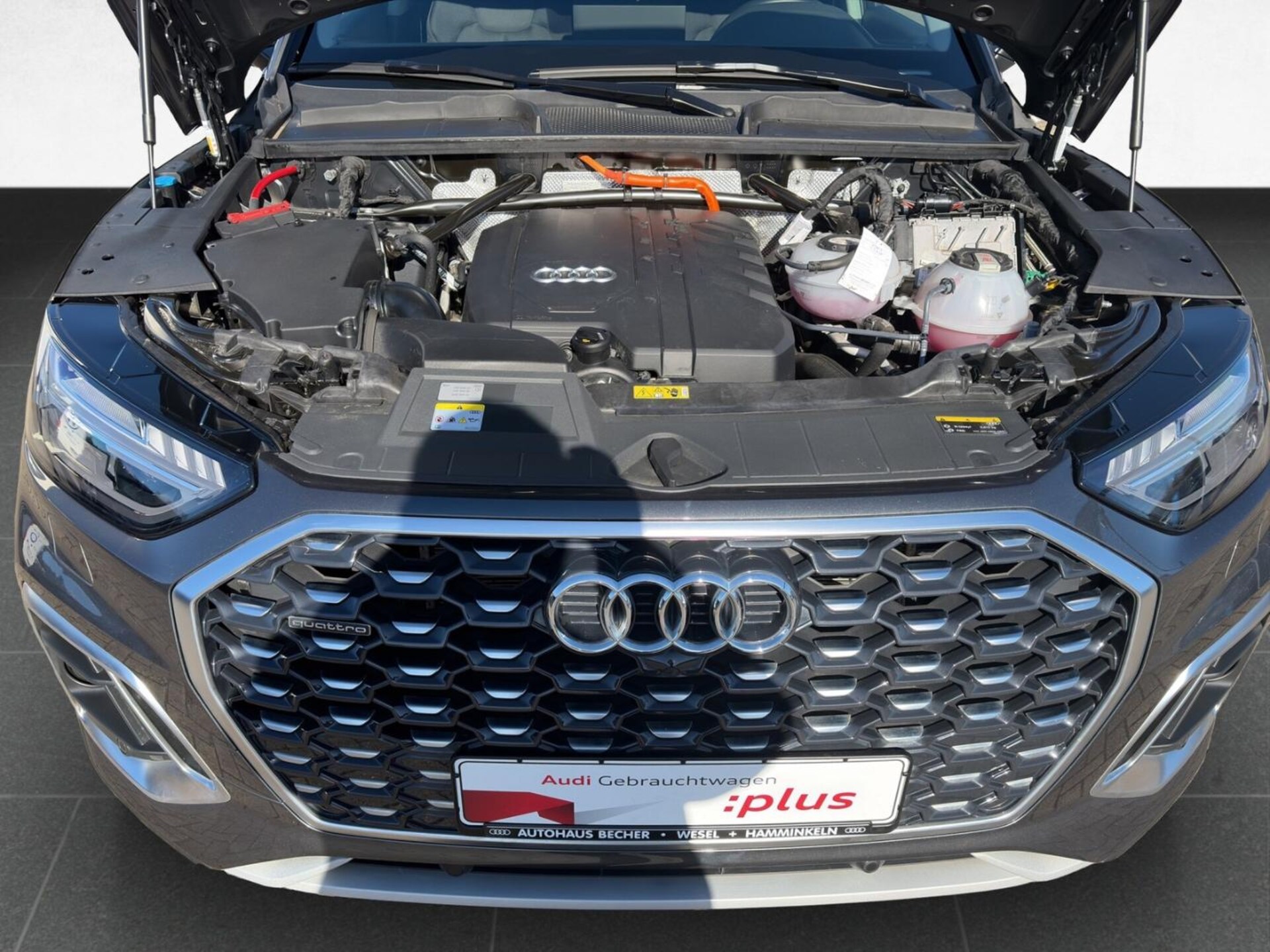 Audi Q5 Sportback TFSI e S line