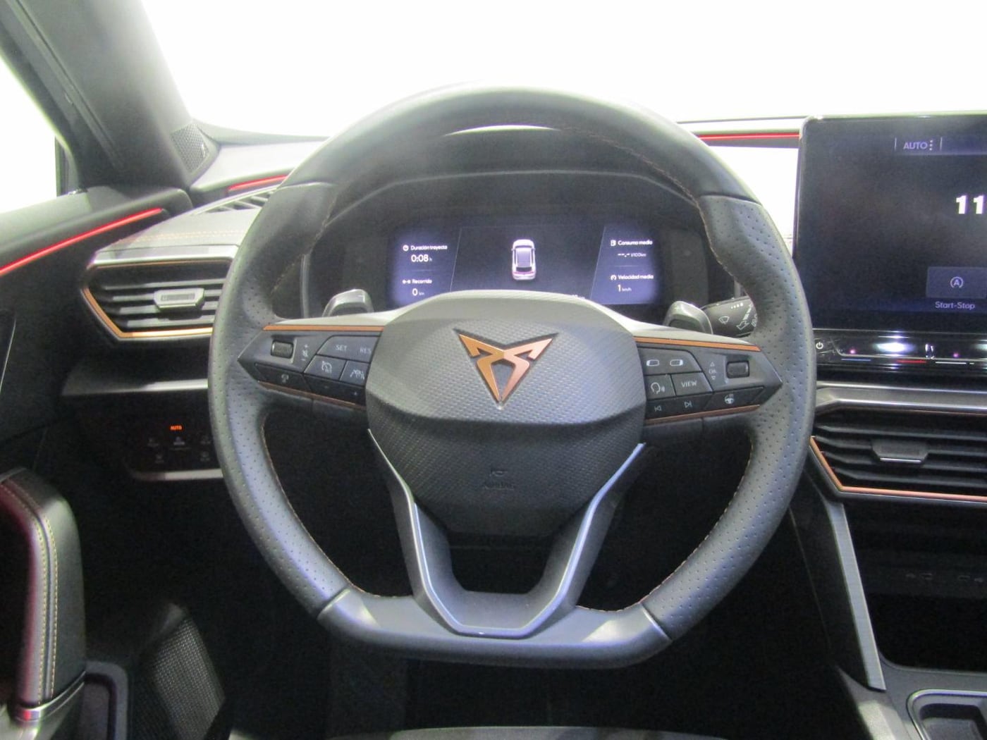 CUPRA Formentor 2.0 TDI 4Drive DSG 110 kW (150 CV) — photo 13