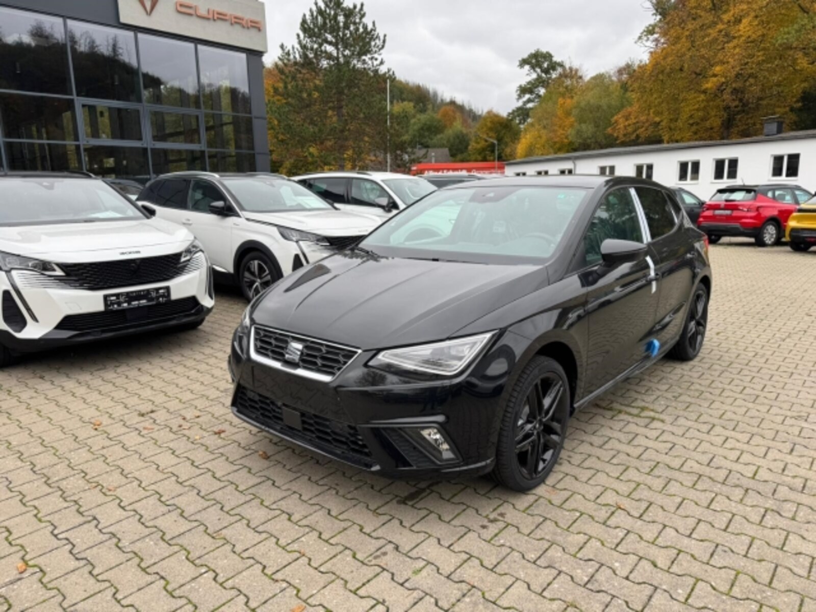 SEAT Ibiza – Bild 3