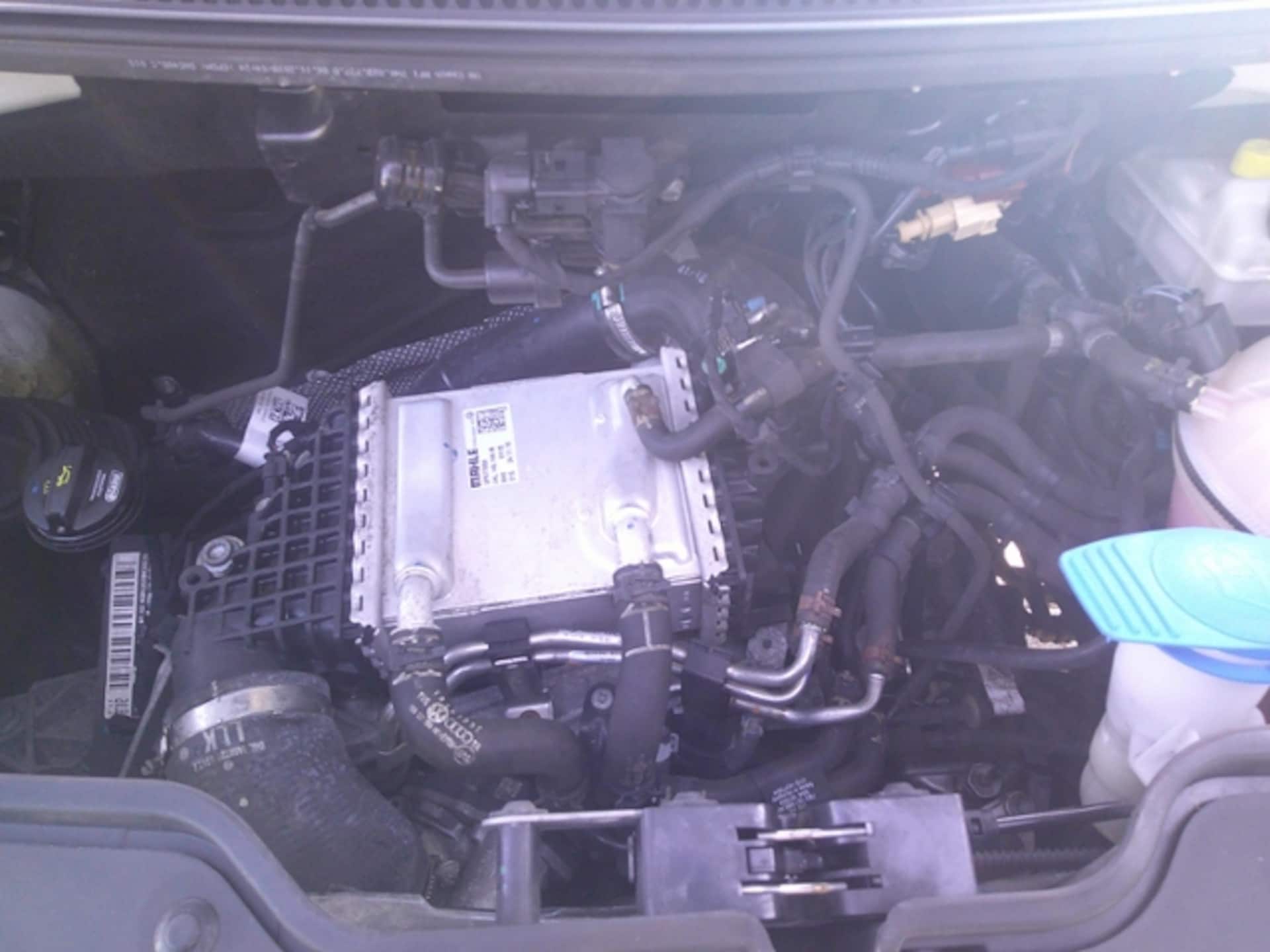 Volkswagen T6 Transporter Kasten kurzer Radstand