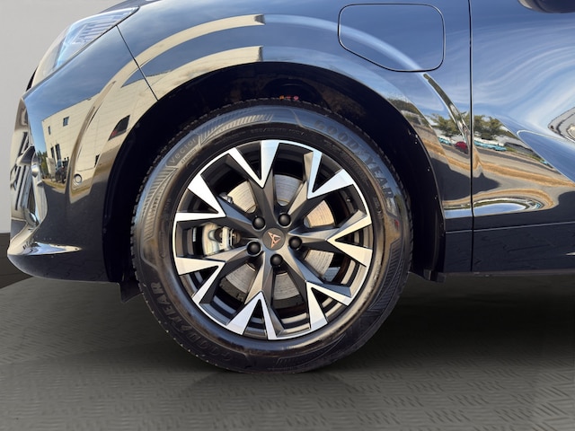 Bild des Autos 14