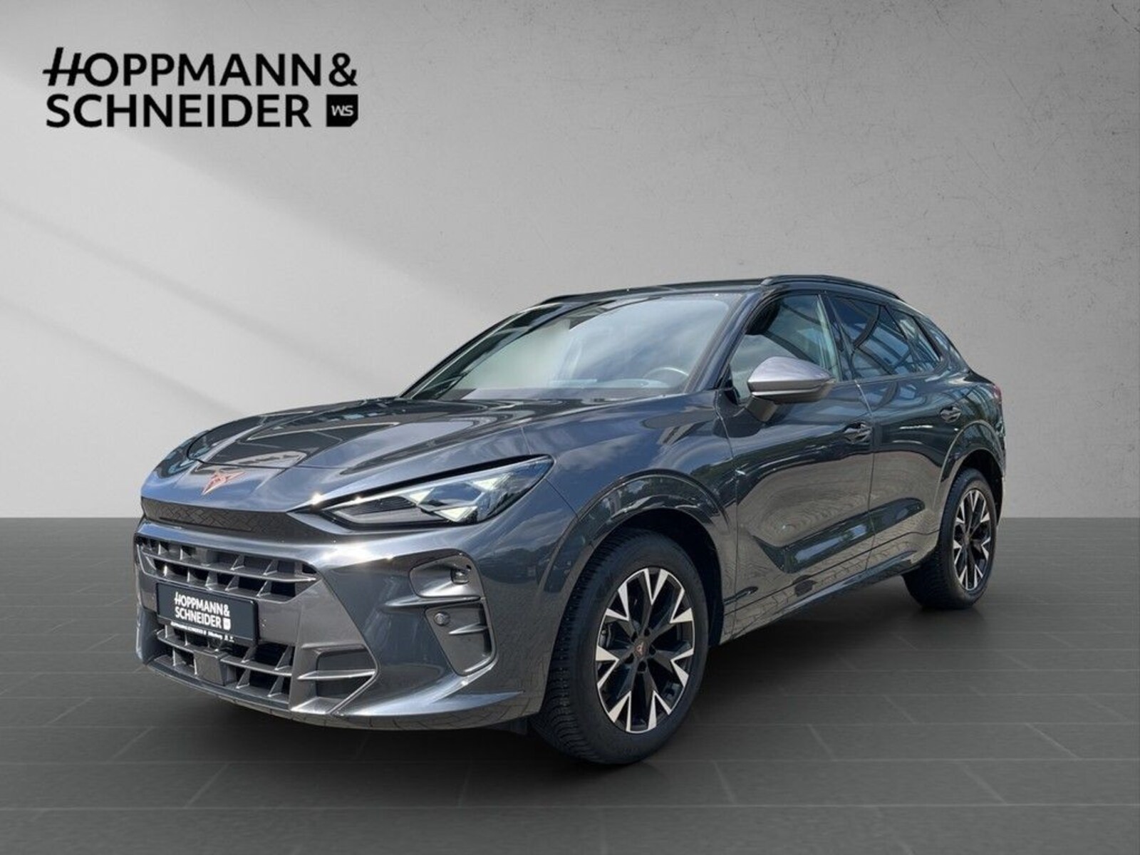 CUPRA Terramar – Bild 2