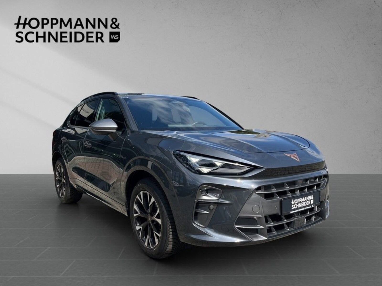 CUPRA Terramar – Bild 8