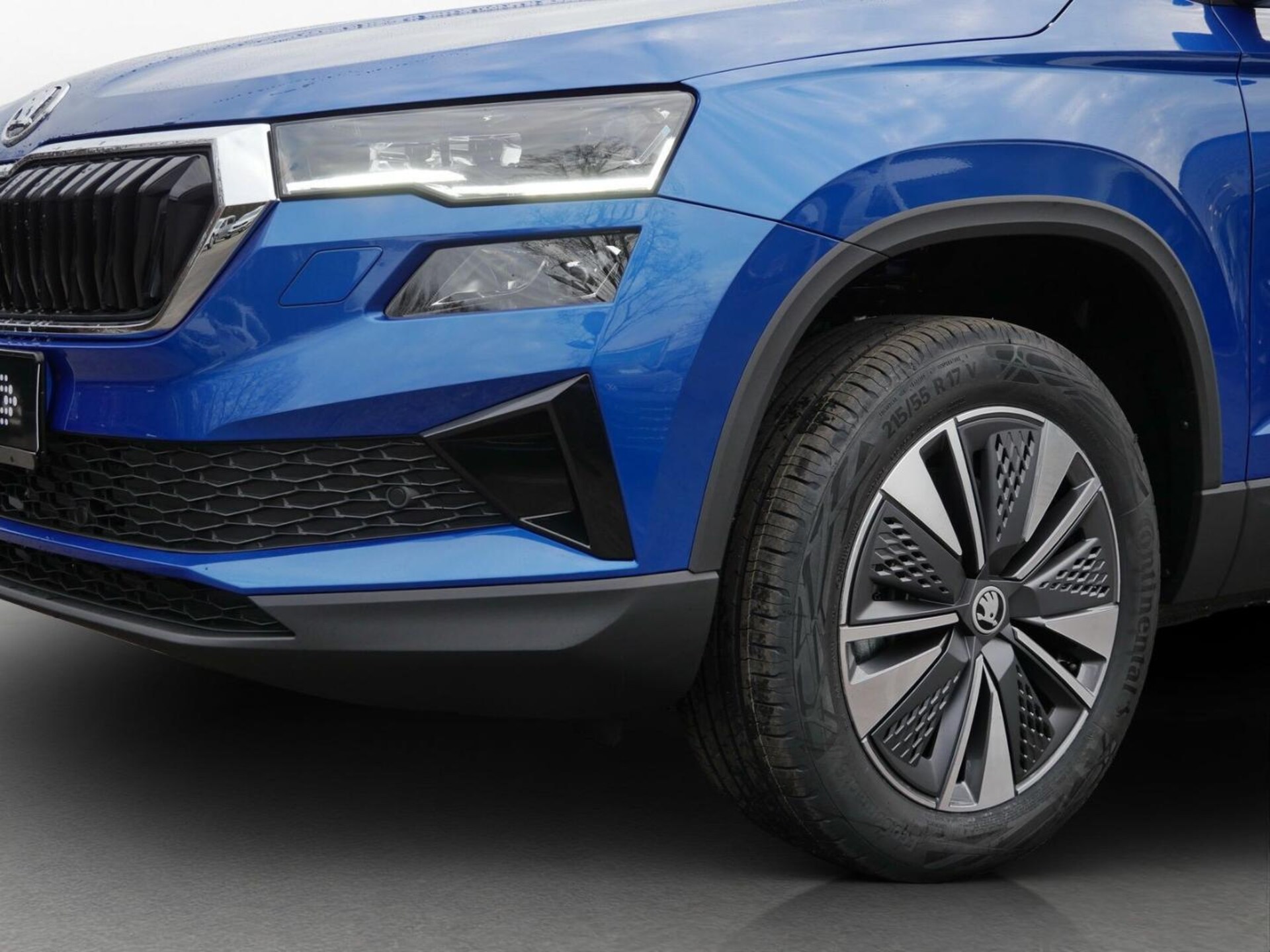 Skoda Karoq Selection